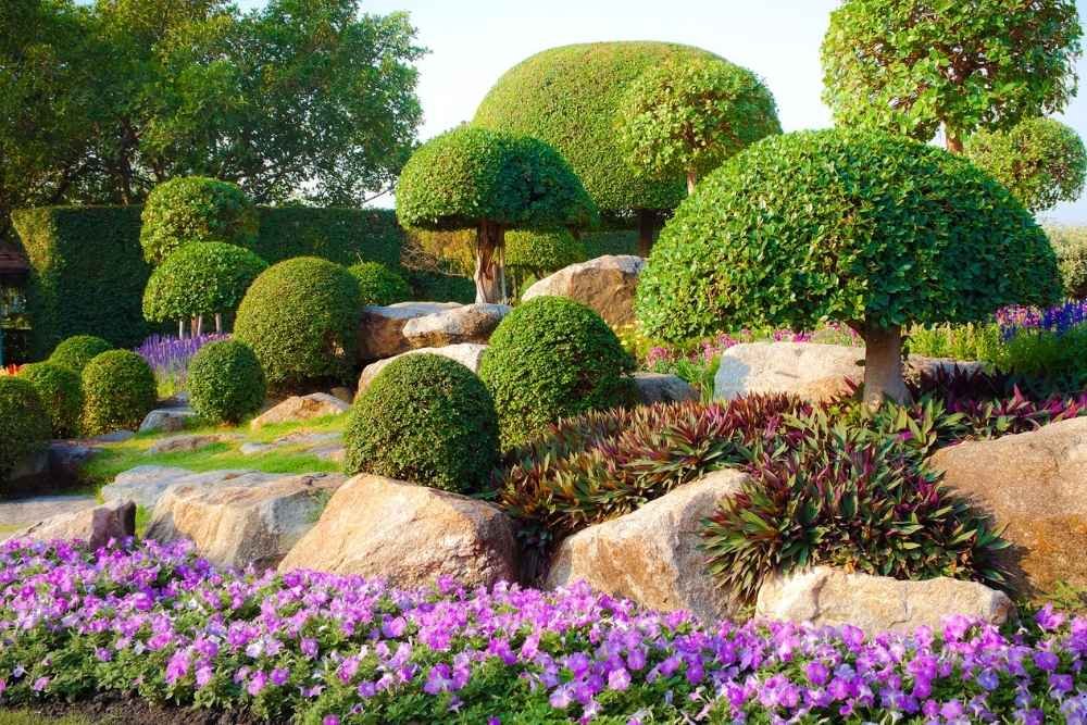 best plants for landscaping in Hartselle AL