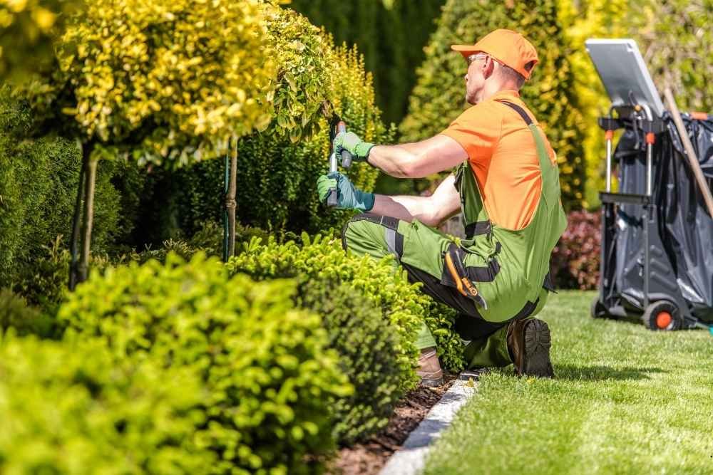 landscaper in Hartselle, AL