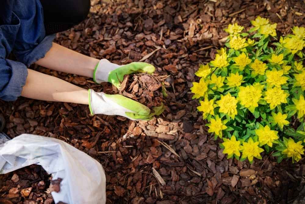 landscaping bed materials Hartselle AL